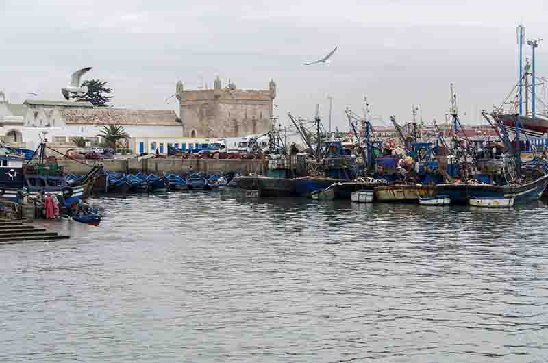 277 - Marruecos - Essaouira - puerto pesquero